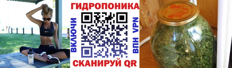 Купить закладки  Мантурово  Конопля LSD WEED 